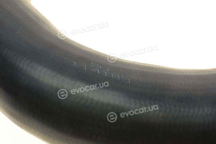 Solgy 114183