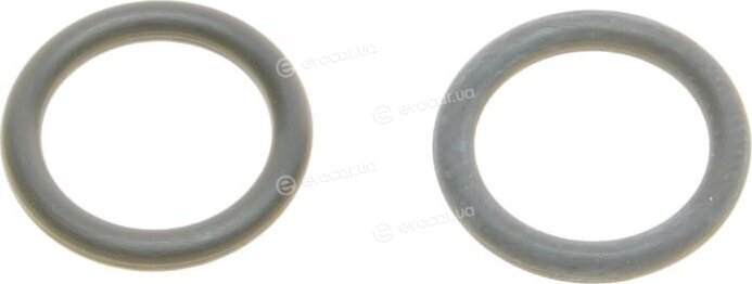 Borsehung B10474
