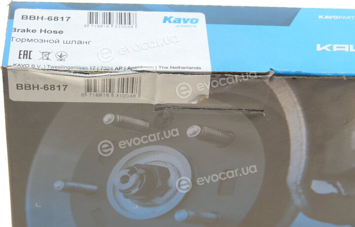 Kavo BBH-6817
