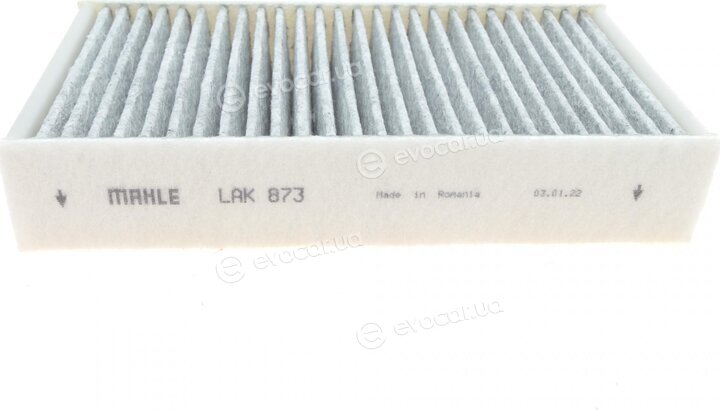 Mahle LAK 873/S