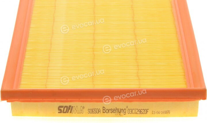 Borsehung B12808