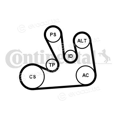 Continental 6PK1822 EXTRA K1