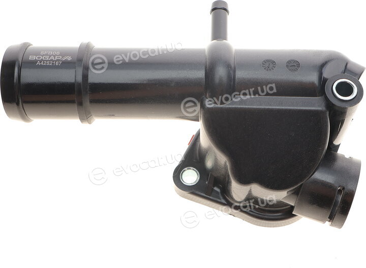Bogap A4252167