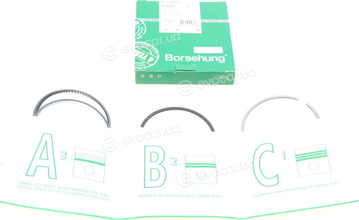 Borsehung B10361