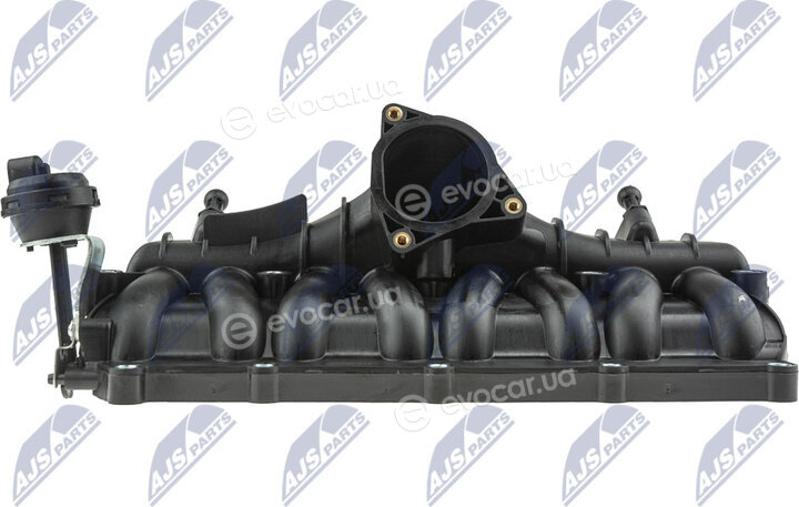 NTY BKS-VW-012