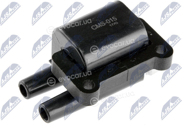 NTY ECZ-MS-015