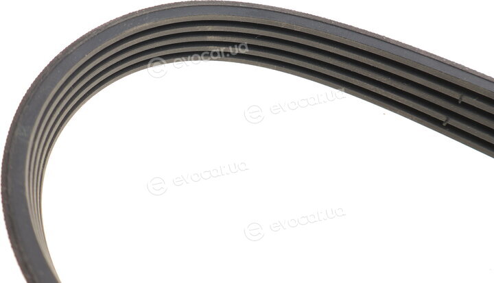 Hutchinson 810 K 5