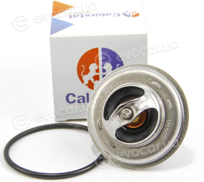 Vernet / Calorstat TH5968.87J