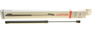 Lesjofors 8162060