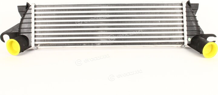 Kale 345095