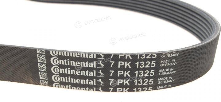 Continental 7PK1325