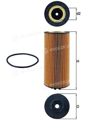 Mahle OX 987D