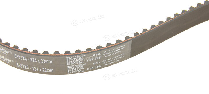 Gates K015503XS