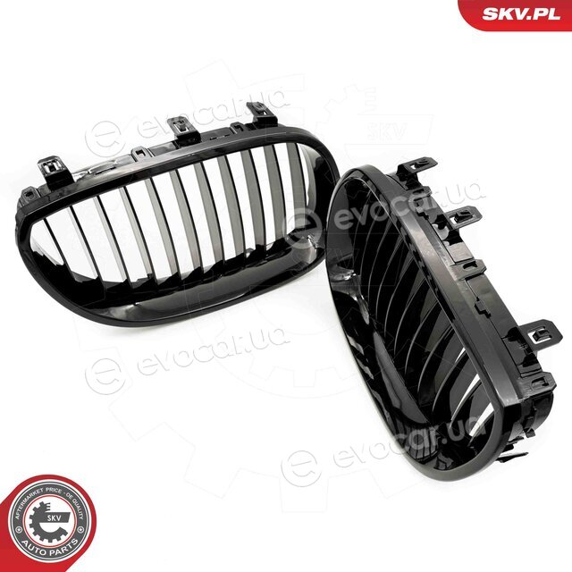 SKV 66SKV165