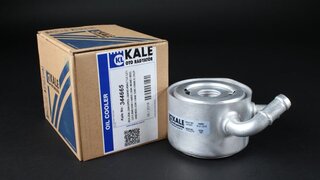 Kale 344665