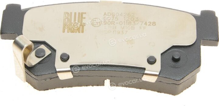 Blue Print ADG04262