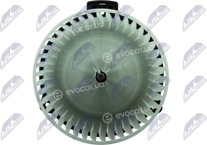 NTY EWN-TY-006