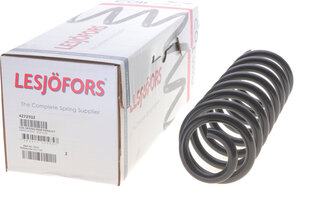 Lesjofors 4272932