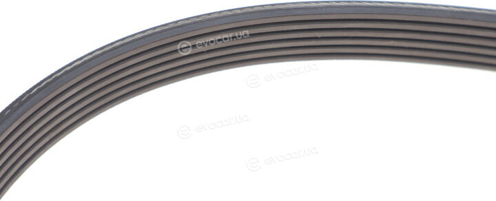 Continental 6PK1157 EXTRA