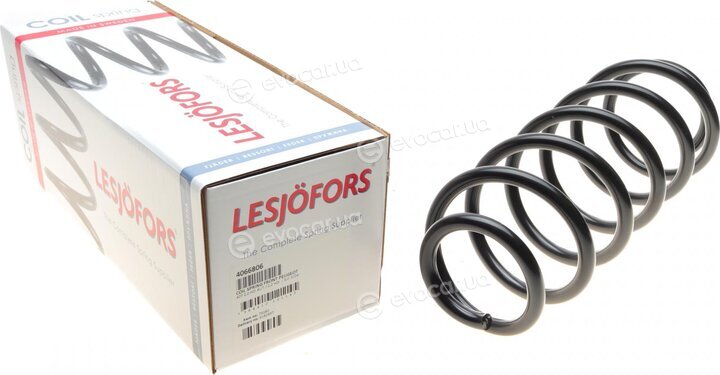 Lesjofors 4066806