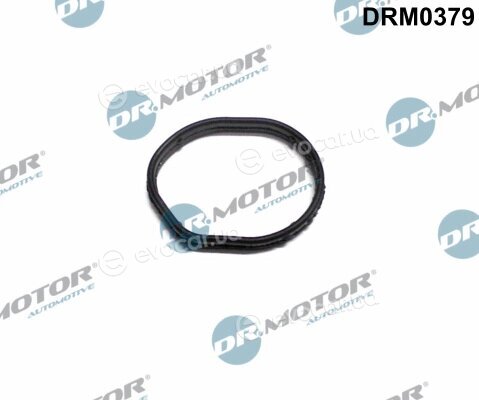 Dr. Motor DRM0379