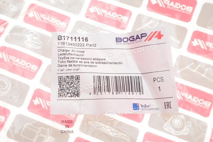 Bogap B1711116