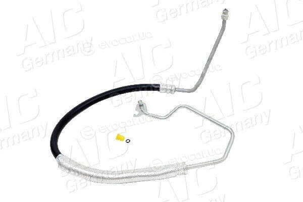AIC 58412