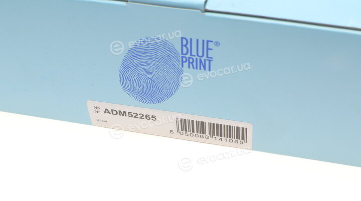 Blue Print ADM52265