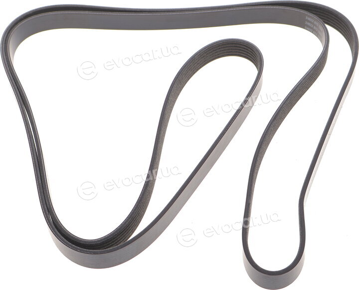 Dayco 6PK2576S