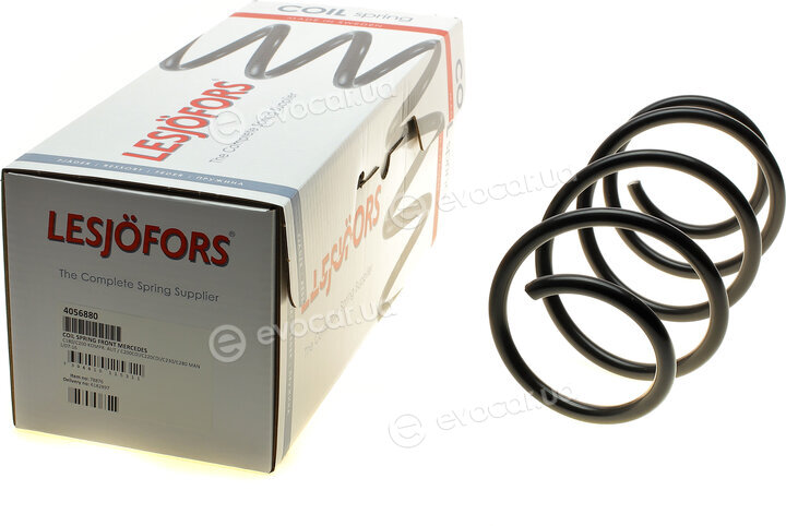 Lesjofors 4056880