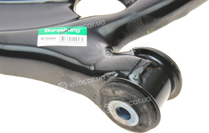 Borsehung B10859