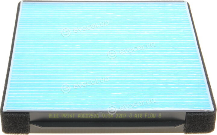 Blue Print ADG02526