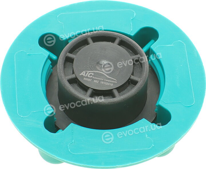 AIC 55597