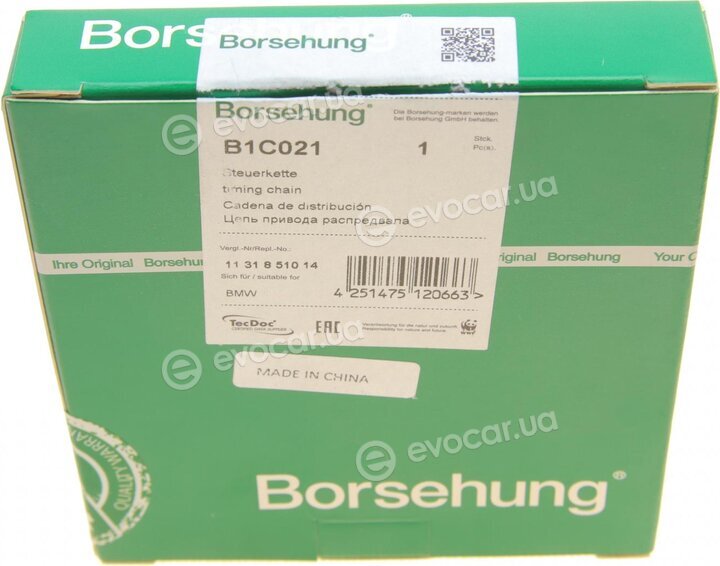 Borsehung B1C021