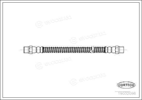 Corteco 19032096