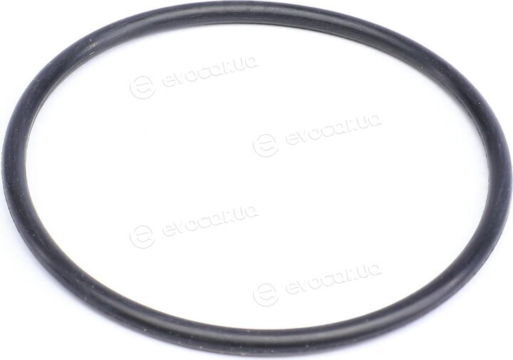 Solgy 101054