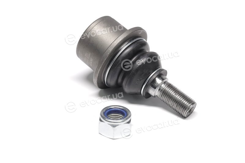 SKF VKDS 317502