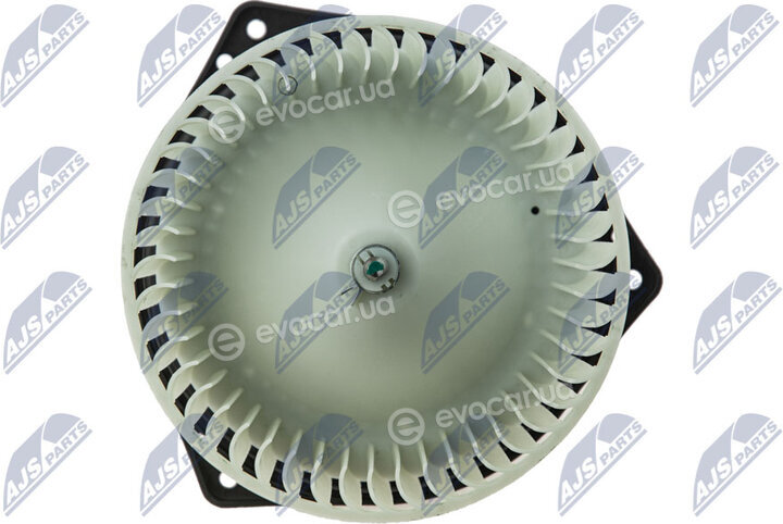 NTY EWN-MS-002