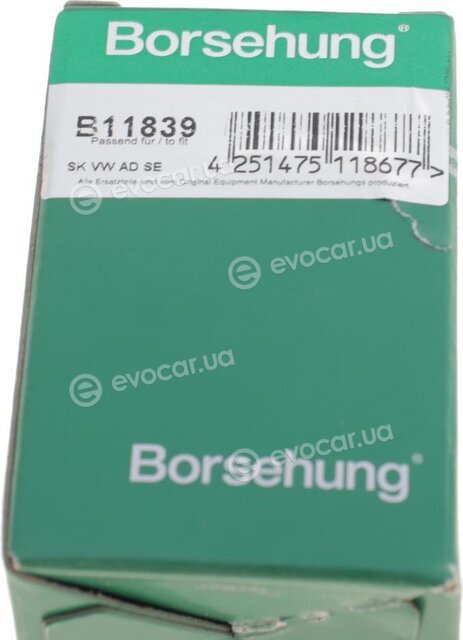 Borsehung B11839