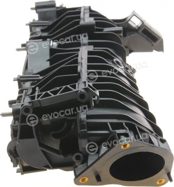Solgy 114266