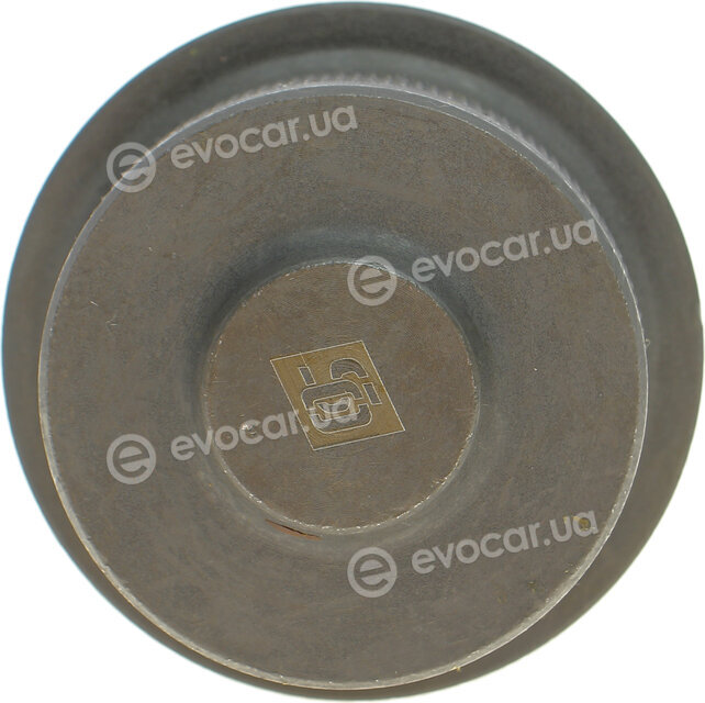 Solgy 203011