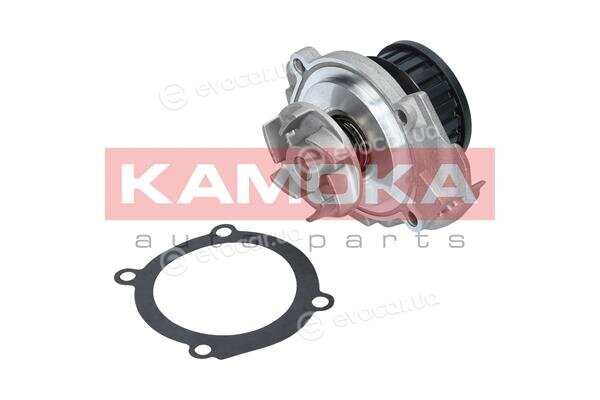 Kamoka T0117