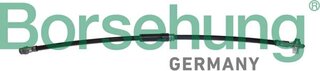 Borsehung B10953