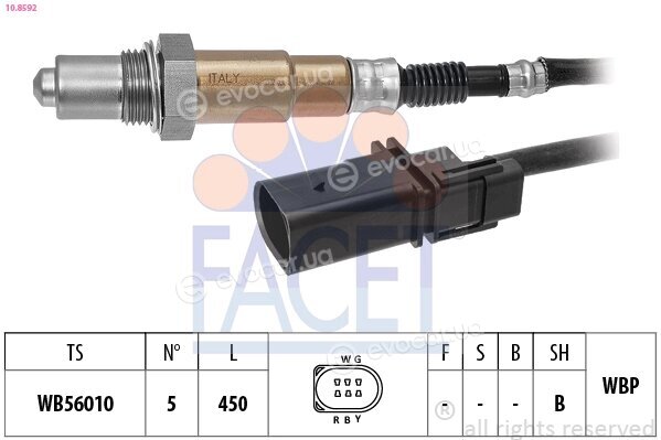Facet 10.8592