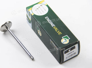 BGA V994518