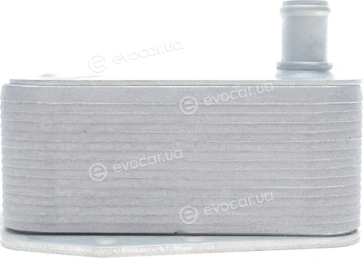 Adler 11427787698