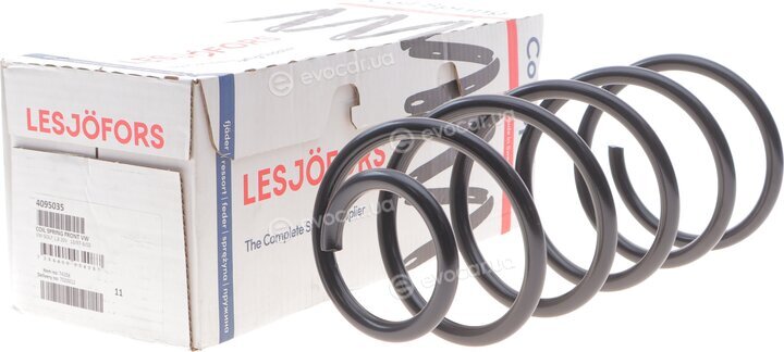Lesjofors 4095035