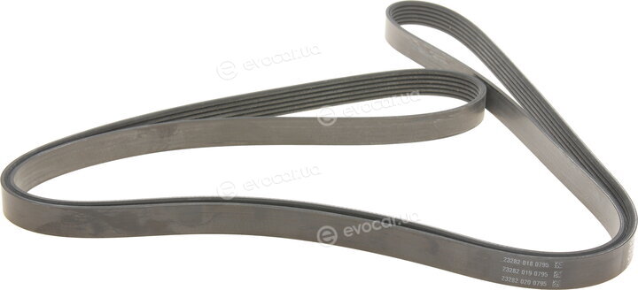Dayco 6PK2460