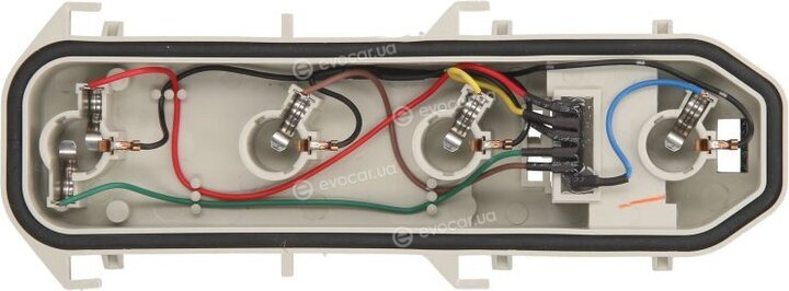 TYC 11-0231-WP-2