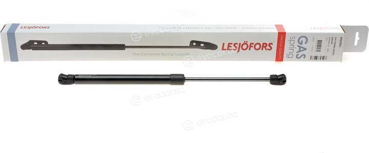 Lesjofors 8062001